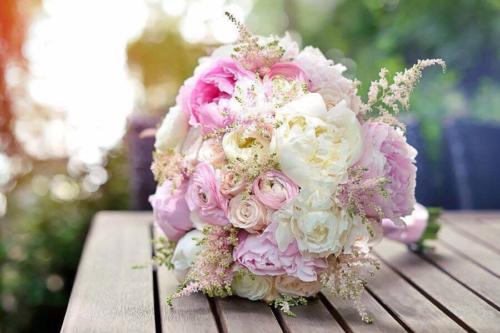 svatební kvetiny astilbe